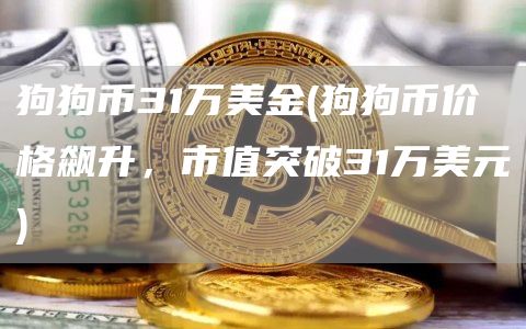狗狗币31万美金 - 狗狗币价格飙升,市值突破31万美元
