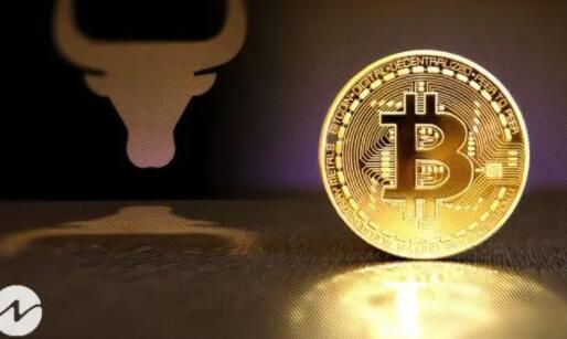 比特币usdt价格今日行情，btc最新行情美元