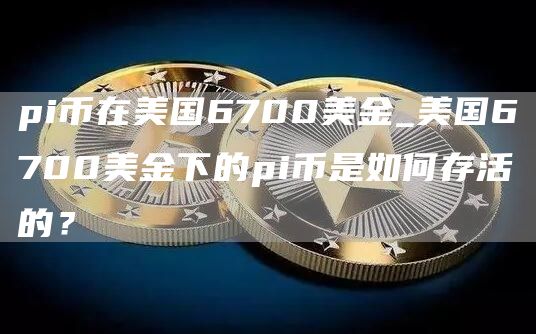 pi币在美国6700美金_美国6700美金下的pi币是如何存活的?