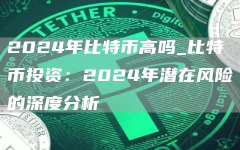 2024年比特币高吗_比特币投资:2024年潜在风险的深度分析