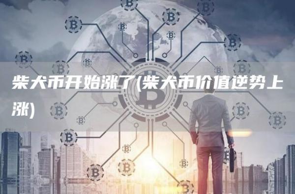 柴犬币开始涨了 - 柴犬币价值逆势上涨