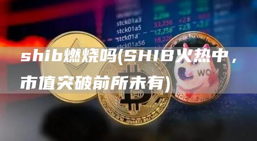 shib燃烧吗 - SHIB火热中,市值突破前所未有