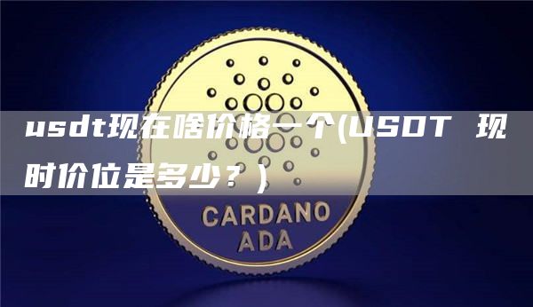 usdt现在啥价格一个 - USDT 现时价位是多少?