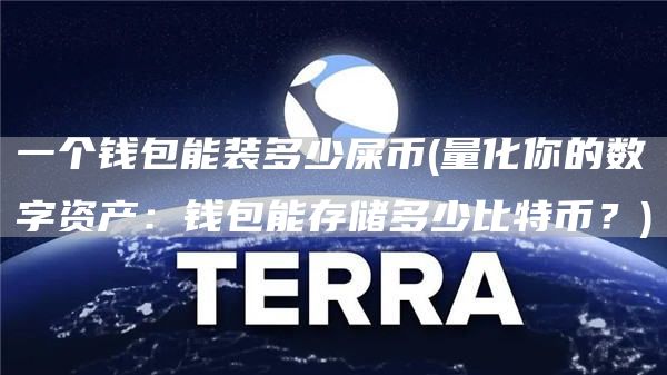 一个钱包能装多少屎币 - 量化你的数字资产:钱包能存储多少比特币?