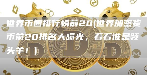 世界币圈排行榜前20 - 世界加密货币前20排名大曝光,看看谁是领头羊!