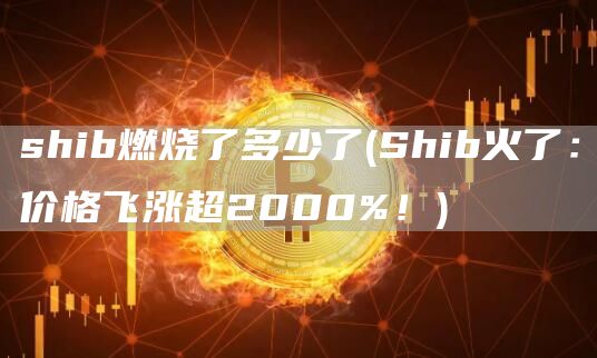 shib燃烧了多少了 - Shib火了:价格飞涨超2000%!