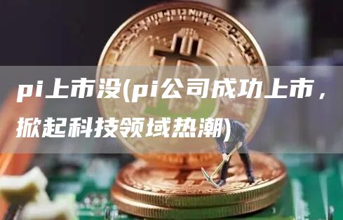 pi上市没 - pi公司成功上市,掀起科技领域热潮