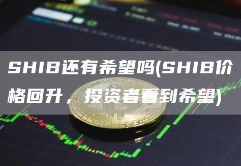 SHIB还有希望吗 - SHIB价格回升,投资者看到希望