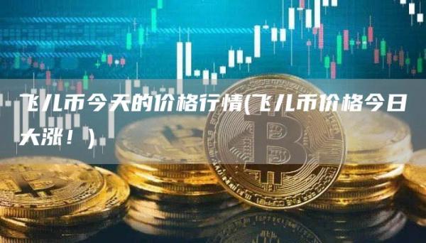 飞儿币今天的价格行情 - 飞儿币价格今日大涨!