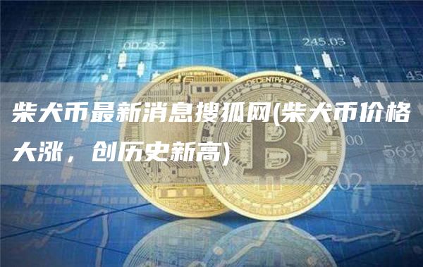 柴犬币最新消息搜狐网 - 柴犬币价格大涨,创历史新高