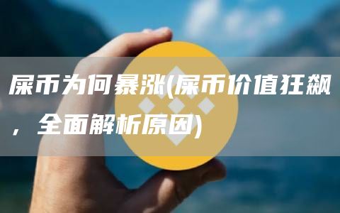 屎币为何暴涨 - 屎币价值狂飙,全面解析原因