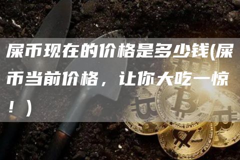 屎币现在的价格是多少钱 - 屎币当前价格,让你大吃一惊!