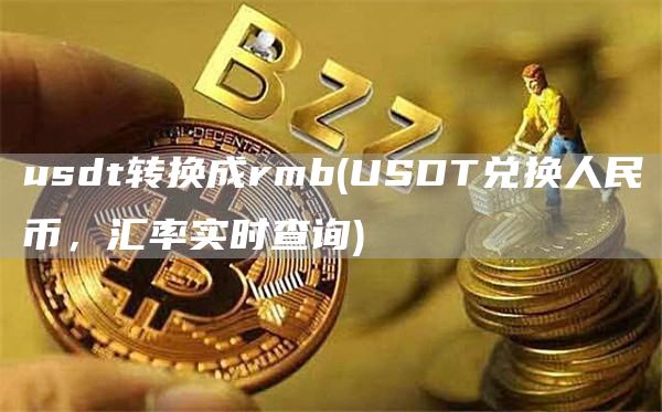 usdt转换成rmb - USDT兑换人民币,汇率实时查询