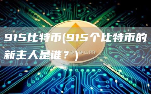 915比特币 - 915个比特币的新主人是谁?
