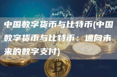 中国数字货币与比特币 - 中国数字货币与比特币:通向未来的数字支付