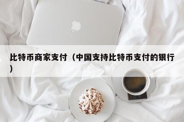 比特币商家支付(中国支持比特币支付的银行)
