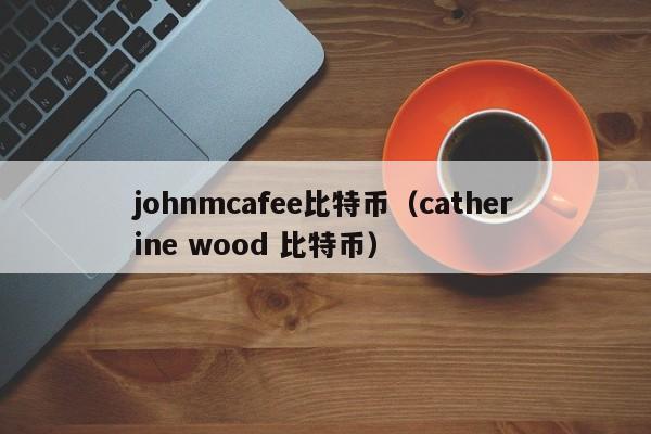 johnmcafee比特币（catherine wood 比特币）