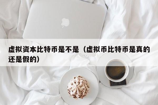 虚拟资本比特币是不是（虚拟币比特币是真的还是假的）