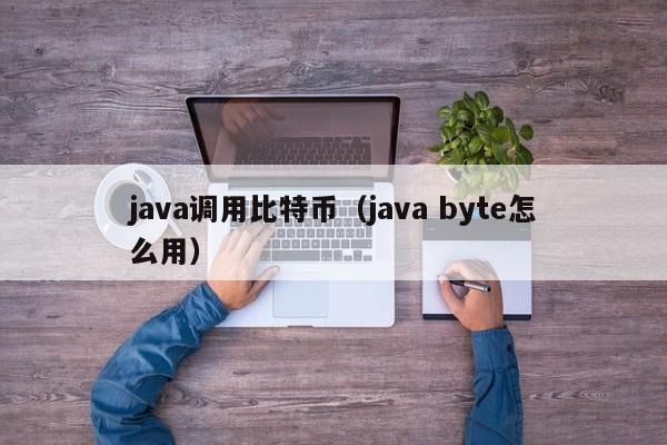 java调用比特币(java byte怎么用)