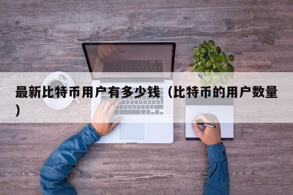 最新比特币用户有多少钱(比特币的用户数量)