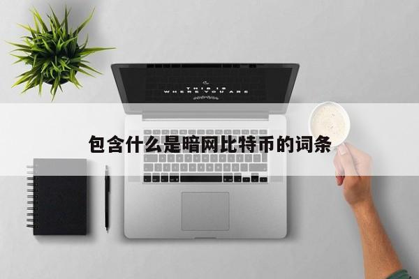 包含什么是暗网比特币的词条
