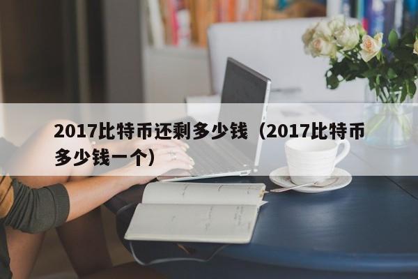 2017比特币还剩多少钱（2017比特币多少钱一个）
