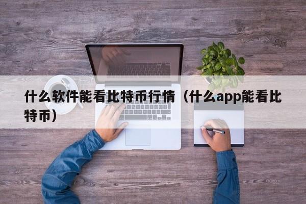 什么软件能看比特币行情（什么app能看比特币）