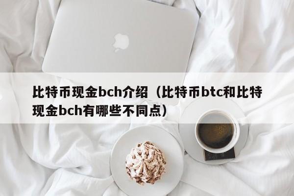 比特币现金bch介绍(比特币btc和比特现金bch有哪些不同点)