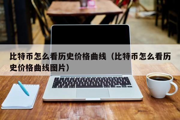 比特币怎么看历史价格曲线（比特币怎么看历史价格曲线图片）
