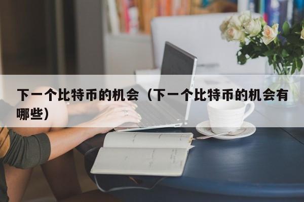 下一个比特币的机会（下一个比特币的机会有哪些）