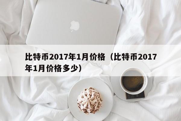 比特币2017年1月价格（比特币2017年1月价格多少）