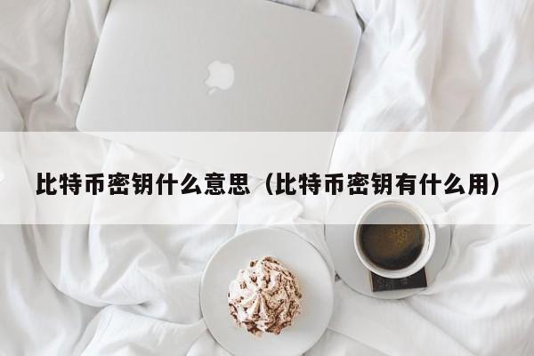 比特币密钥什么意思（比特币密钥有什么用）