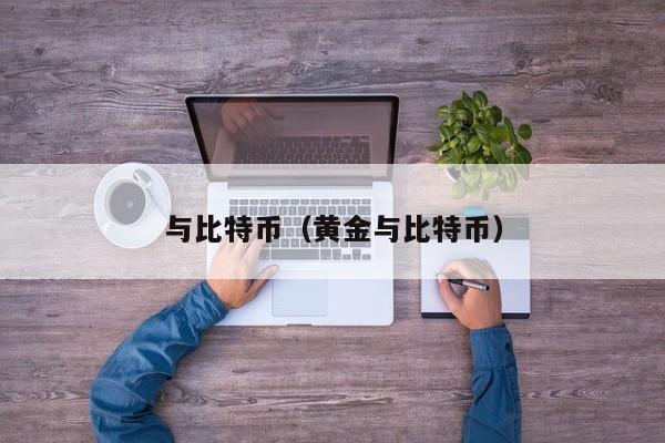 与比特币（黄金与比特币）