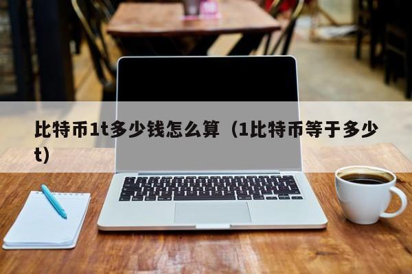 比特币1t多少钱怎么算（1比特币等于多少t）