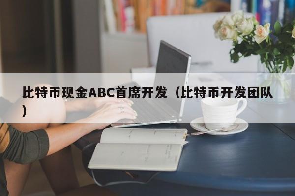 比特币现金ABC首席开发(比特币开发团队)