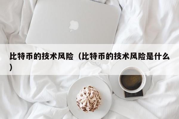 比特币的技术风险（比特币的技术风险是什么）