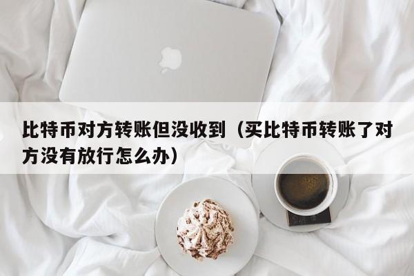 比特币对方转账但没收到(买比特币转账了对方没有放行怎么办)