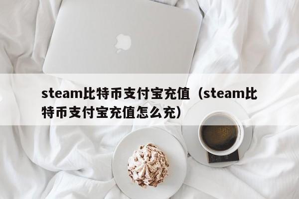 steam比特币支付宝充值（steam比特币支付宝充值怎么充）