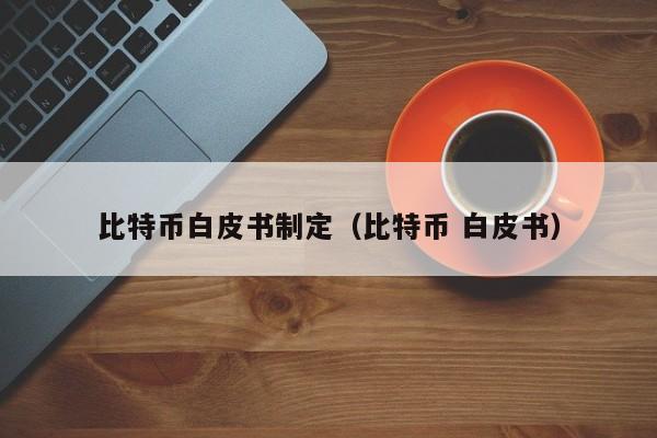 比特币白皮书制定(比特币 白皮书)