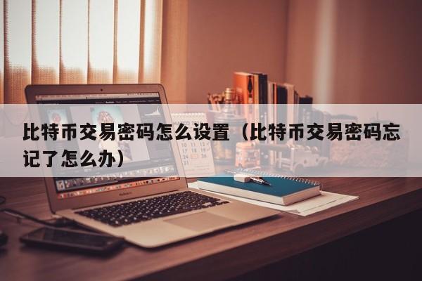 比特币交易密码怎么设置（比特币交易密码忘记了怎么办）