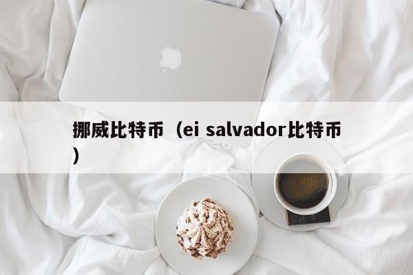 挪威比特币(ei salvador比特币)