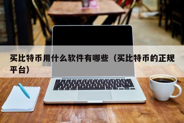 买比特币用什么软件有哪些（买比特币的正规平台）