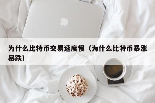 为什么比特币交易速度慢（为什么比特币暴涨暴跌）