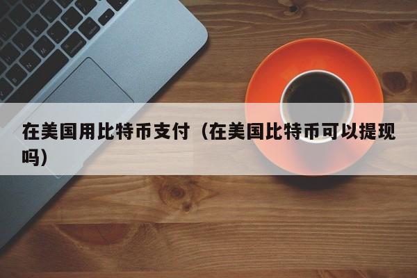 在美国用比特币支付（在美国比特币可以提现吗）