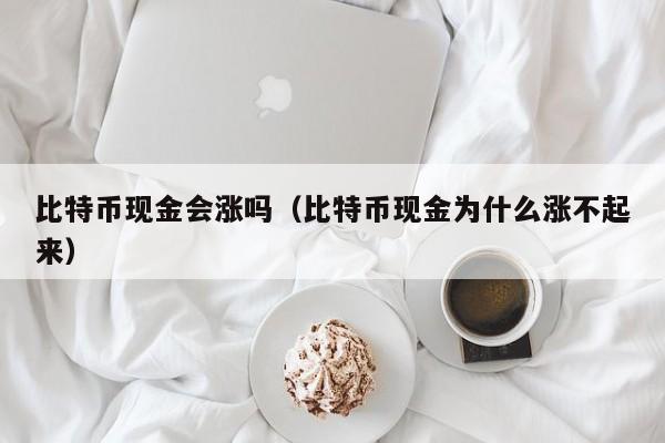 比特币现金会涨吗（比特币现金为什么涨不起来）