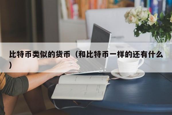 比特币类似的货币(和比特币一样的还有什么)