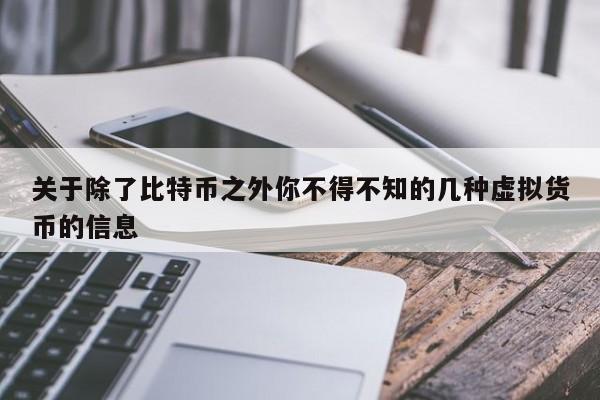 关于除了比特币之外你不得不知的几种虚拟货币的信息