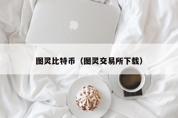 图灵比特币(图灵交易所下载)