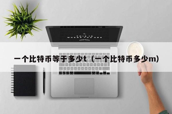 一个比特币等于多少t（一个比特币多少m）