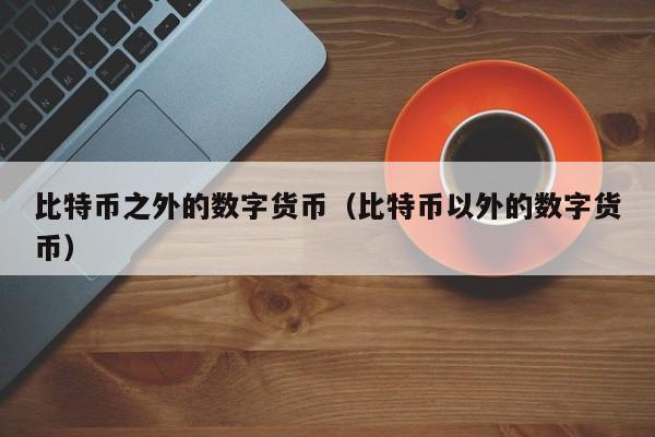 比特币之外的数字货币（比特币以外的数字货币）